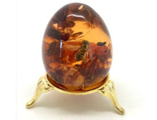 Résine d'inclusion - Polychimie